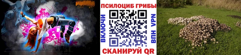 Купить  Духовщина  Галлюциногенные грибы MAGIC MUSHROOMS 