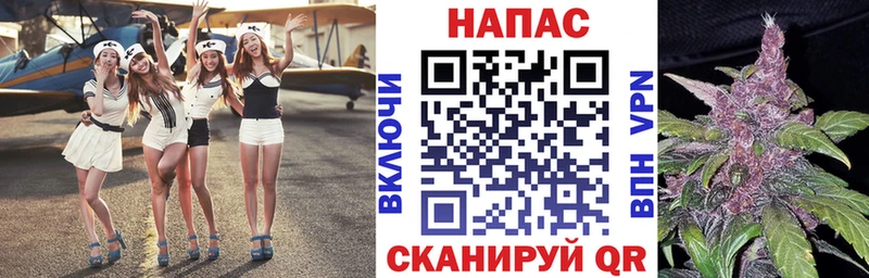 Бошки Шишки сатива  Купить  Духовщина 